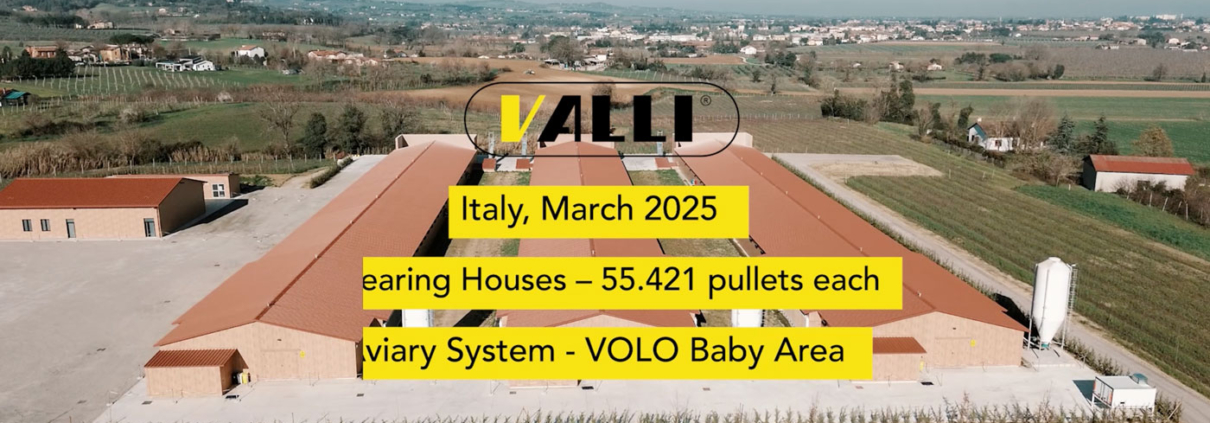 Italian Rearing House - Agri System